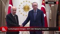Cumhurbaşkanı Erdoğan, MHP Lideri Bahçeli'yi kabul etti