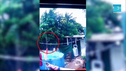 Lo acusan de matar al gato de la vecina en La Plata