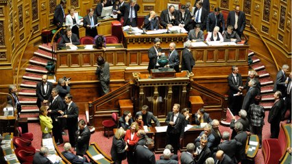 3 000 euros net par mois, pas de diplôme nécessaire… Quel est donc ce poste proposé par le Sénat ?