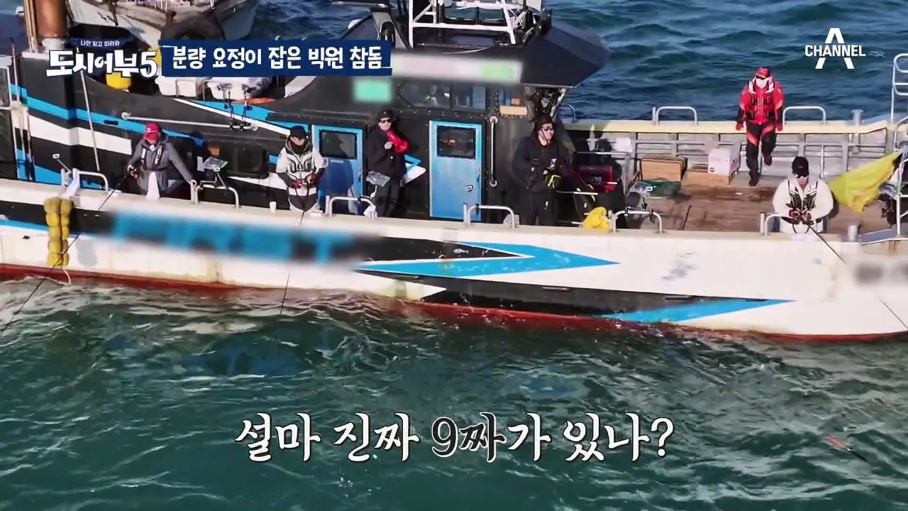 [#도시어부5] 진짜 크----다!!! 진철 투어에서 참돔 득템하고 신난 이경규 세레...