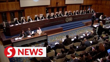 Download Video: World 'fails' Palestinians in 'livestreamed genocide,' South African delegation says at ICJ