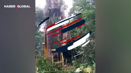 Ormanda işçiler tarafından bulunan devasa yılan uzunluğu ile izlenme rekoru kırdı