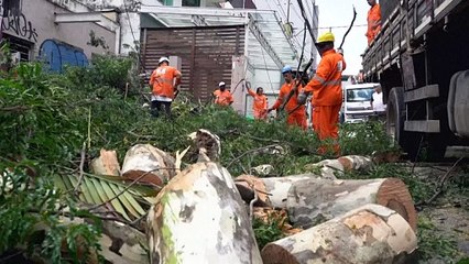 ثلاثة أيام من الأمطار الغزيرة تتسبب بأضرار في ساو باولو