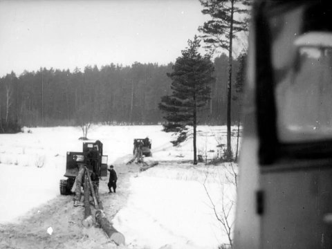 Forest for a folk farm. Dziewieniszki - Dieveniškės. Lithuanian Film Chronicle Soviet Lithuania , 1950