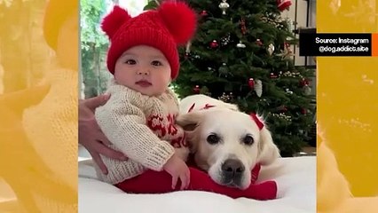 Video kokoaa yhteen koirien ja ihmislapsien hellyyden hetkiä