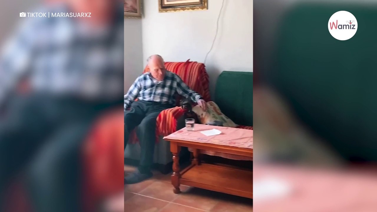 Video: Un gattino conosce un nonno centenario e conquista il suo cuore
