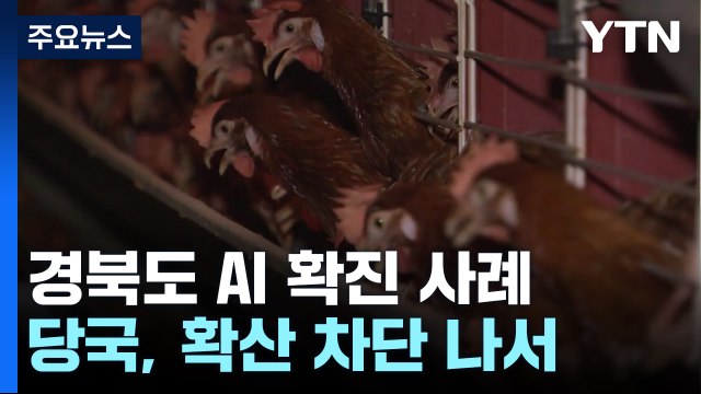 경북 의성 산란계 농장에서 고병원성 AI 확진...확산 우려 / YTN