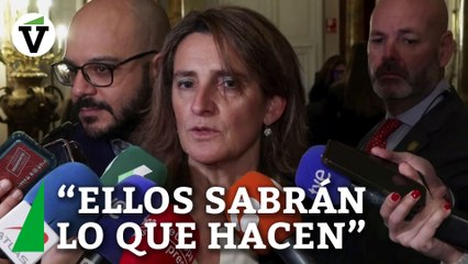 Ribera, sobre el voto en contra de Podemos: “Ellos sabrán lo que hacen”