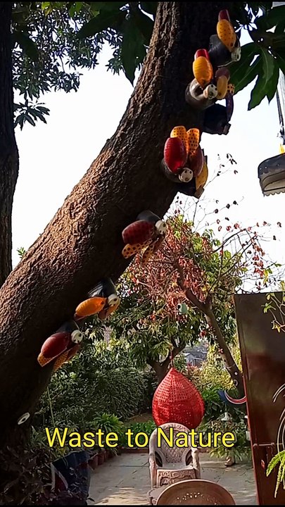 Naresh Kohli Garden-12