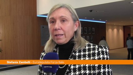 Ue, Zambelli "Continueremo battaglia contro il Nutriscore"