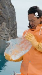  FLASH : Dubai au coeur d’un nouveau scandale écologique