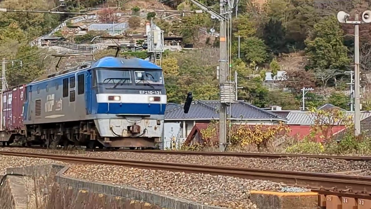PXL_20231116_085341
