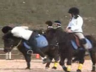 La corde - 30/03/08 ( BENJ 1 , MINIME 1 ..)