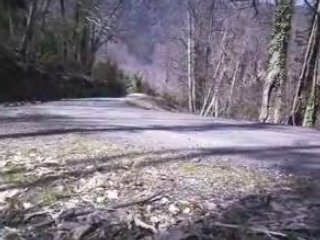 307 Wrc