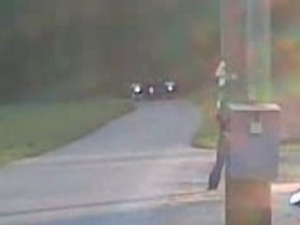 tit run entre potes genève(run dtx husky dtr)