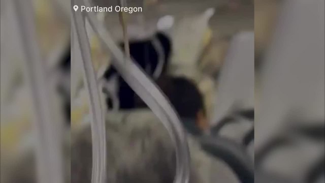 Aterrizaje de emergencia después de perder una puerta en pleno vuelo
