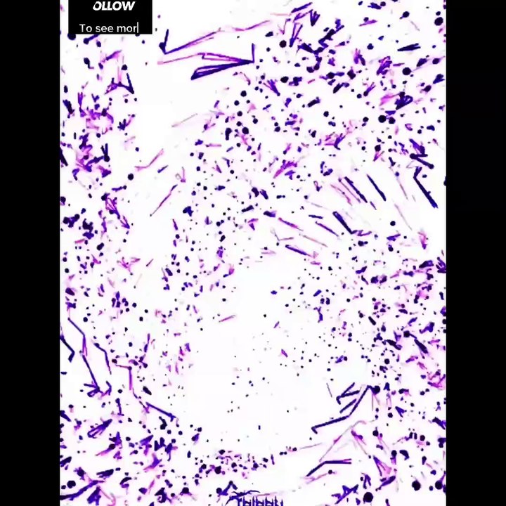 Flashwarning | music | 8d audio | sound | song | trending | France trippy