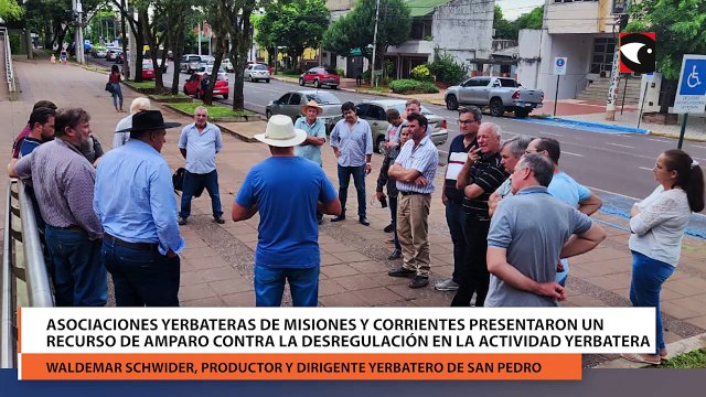 Asociaciones yerbateras de Misiones y Corrientes presentaron un recurso de amparo contra la desregulación en la actividad yerbatera