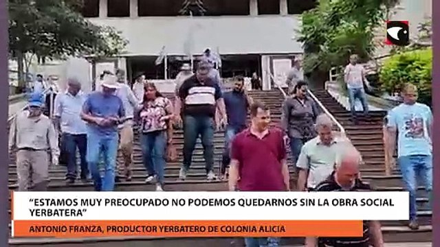 Asociaciones y productores solicitaron una medida cautelar contra la desregulación de la actividad yerbatera que dispuso el Gobierno nacional