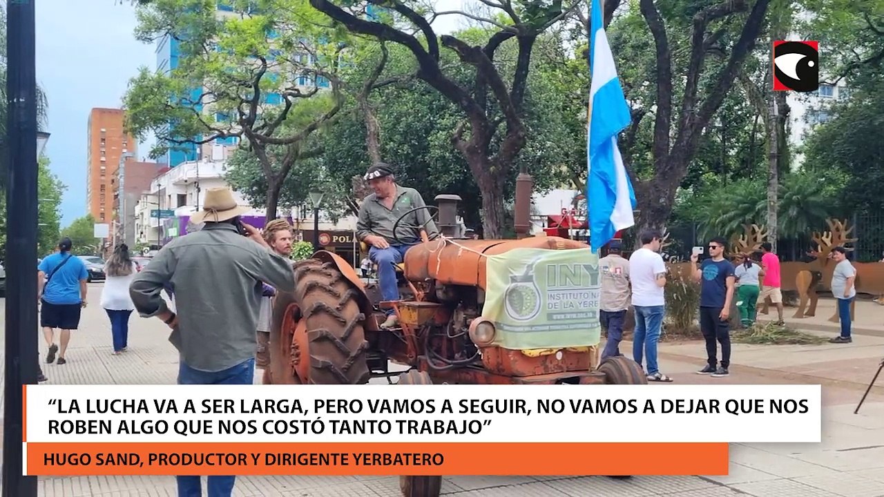 Asociaciones y productores solicitaron una medida cautelar contra la desregulación de la actividad yerbatera que dispuso el Gobierno nacional