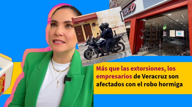 Empresarios de Veracruz alertan que el robo hormiga les afecta más que las extorsiones