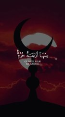 [Surah At-Tawbah Ayah 36