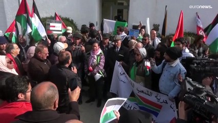 شاهد: تظاهرة تونسية دعماً لدعوى جنوب إفريقيا ضد إسرائيل