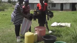 Las pelucas, tejidos y extensiones sintéticos pueden contaminar el medio ambiente, pero estas mujeres kenianas encontraron una excelente alternativa.