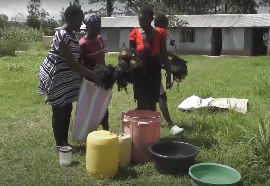 Las pelucas, tejidos y extensiones sintéticos pueden contaminar el medio ambiente, pero estas mujeres kenianas encontraron una excelente alternativa.