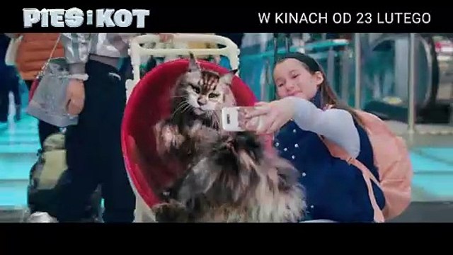 Pies i kot | movie | 2024 | Official Trailer