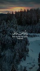 القارئ رعد الكردي