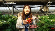 [HOT] Enjoy Yangpyeong! Recommended course!,생방송 오늘 아침 240112
