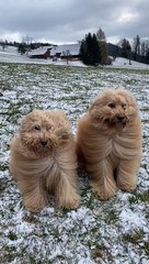 Doodle Hair Flowing In The Wind