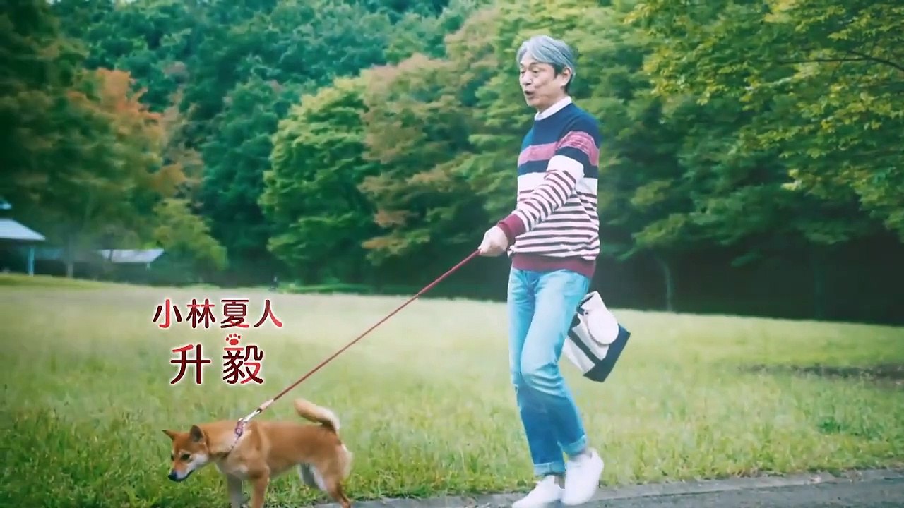 無料ホームシアター - おじさまと猫#4