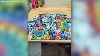 Most INCREDIBLE Moments Caught On Camera!