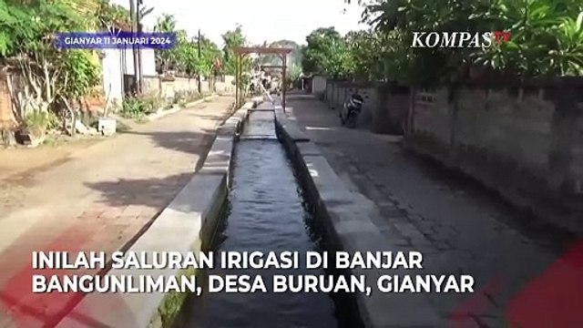 Warga Sulap Saluran Irigasi Menjadi Kolam Ikan Koi