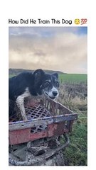 Wow! How did he do that ...???