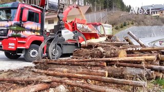 Incredible Giant Tree Mulcher Wood Shredder Equipment Working, Dangerous Big Wood Crusher Chippe