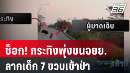 ช็อก! กระทิงพุ่งชนจยย. ลากเด็ก 7 ขวบเข้าป่า| โชว์ข่าวเช้านี้ | 12 ม.ค. 67