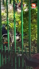 Estos serán tus beneficios y todo lo que tienes que saber