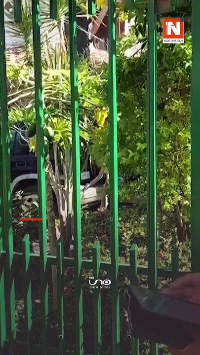 Estos serán tus beneficios y todo lo que tienes que saber