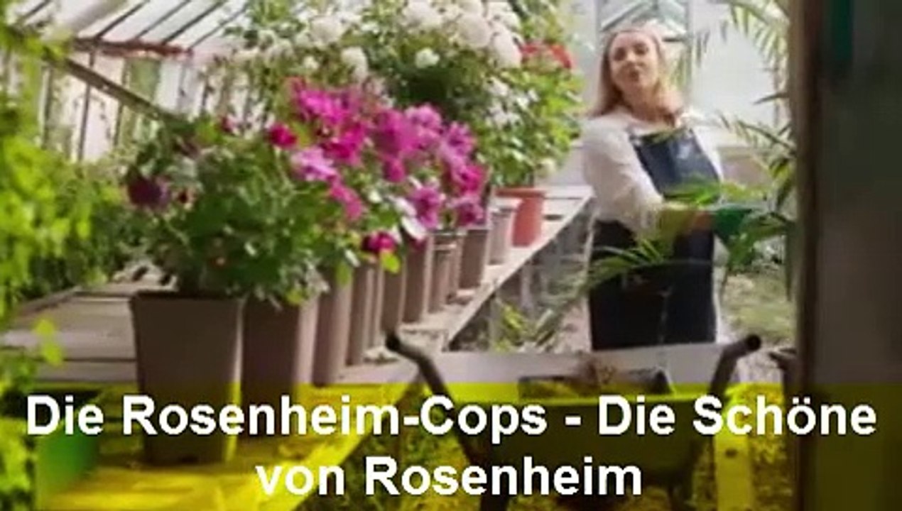 Die Rosenheim-Cops (546) Die Schöne von Rosenheim Staffel 23 Folge 15