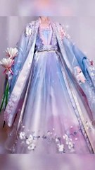 Chinese traditional clothes, hanfu. (80)