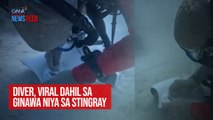 Diver, viral dahil sa ginawa niya sa stingray | GMA Integrated Newsfeed
