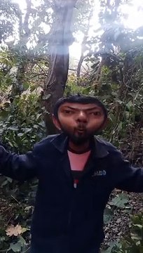 So beautiful so elegant just looking like a wow