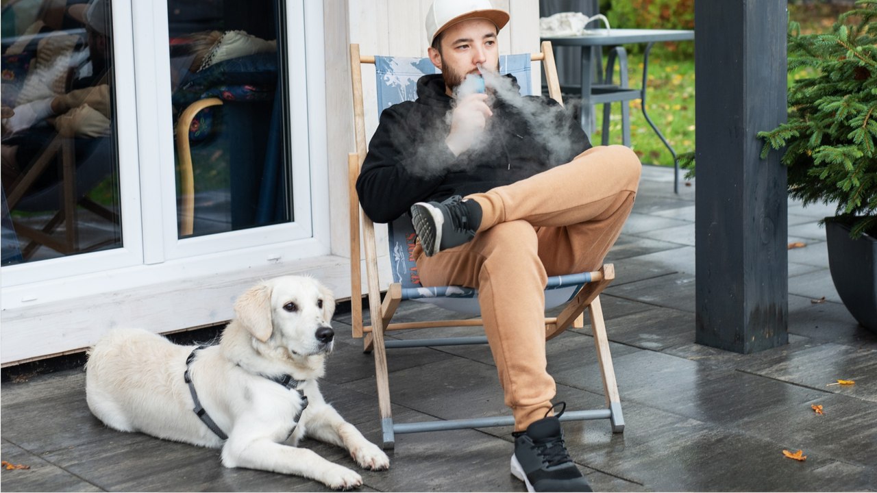 Blasenkrebs: So krank macht das Rauchen unsere Hunde