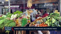 Harga Tomat dan Kentang di Kota Semarang Melambung Tinggi