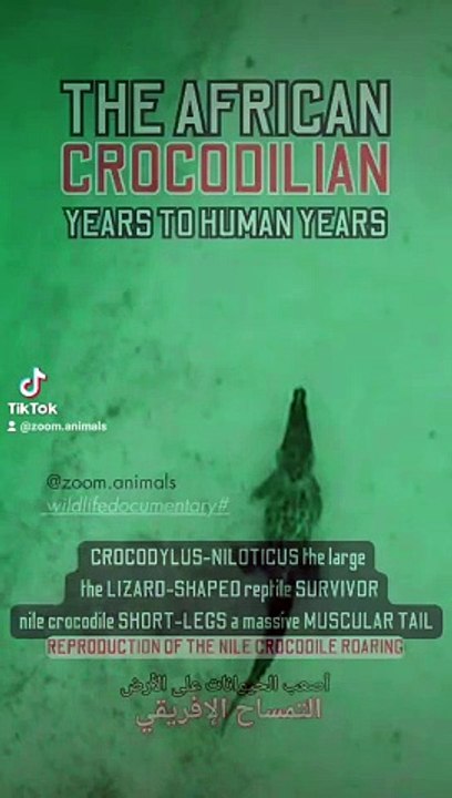 nile crocodile florida roaring, animal park nature park, reproduction of the nile crocodile florida , nile crocodile the armored tanks of Africa  #nileshbagul #nileshbagul #nileshbagul #nile #niles #niloyalamgir #nilesh25 #nilecrocodiles   #crocodile