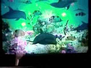 tableau cadre lumineux d'un magnifique AQUARIUM