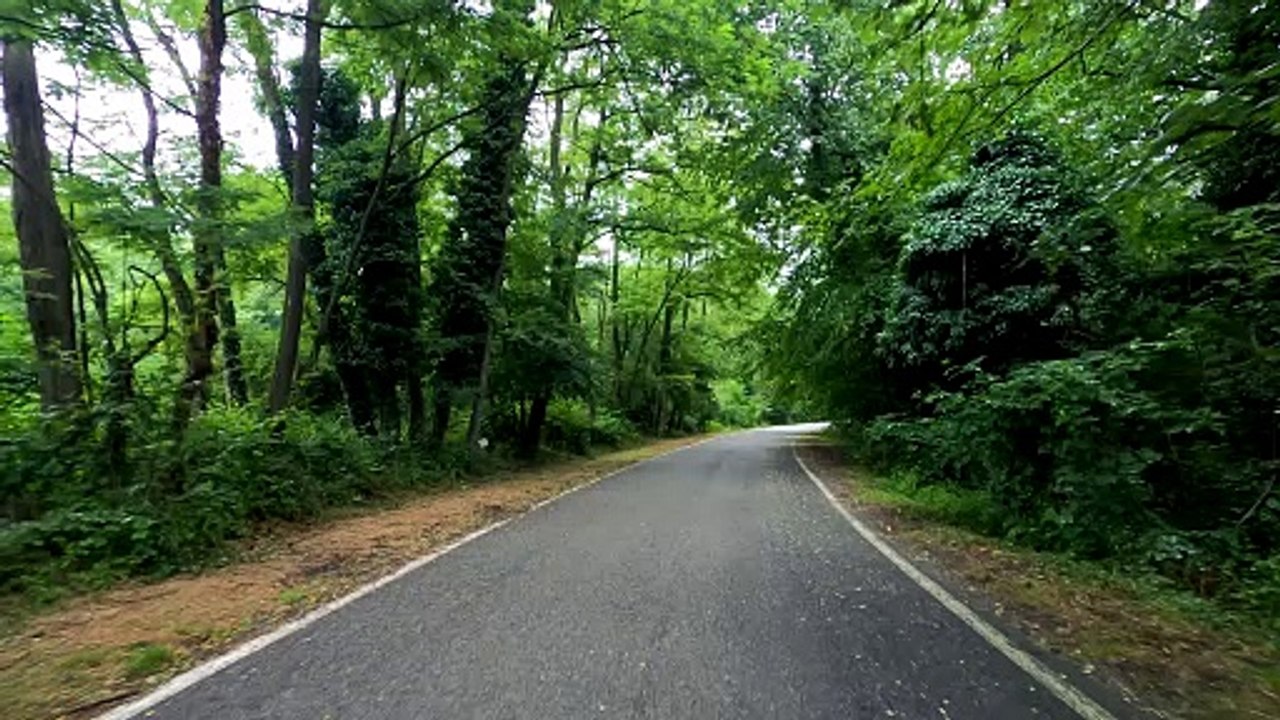 travelling nature view